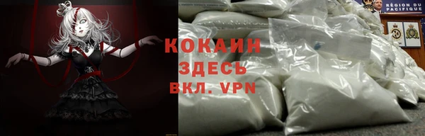 тгк Богданович