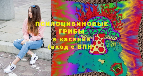 mix Богородск
